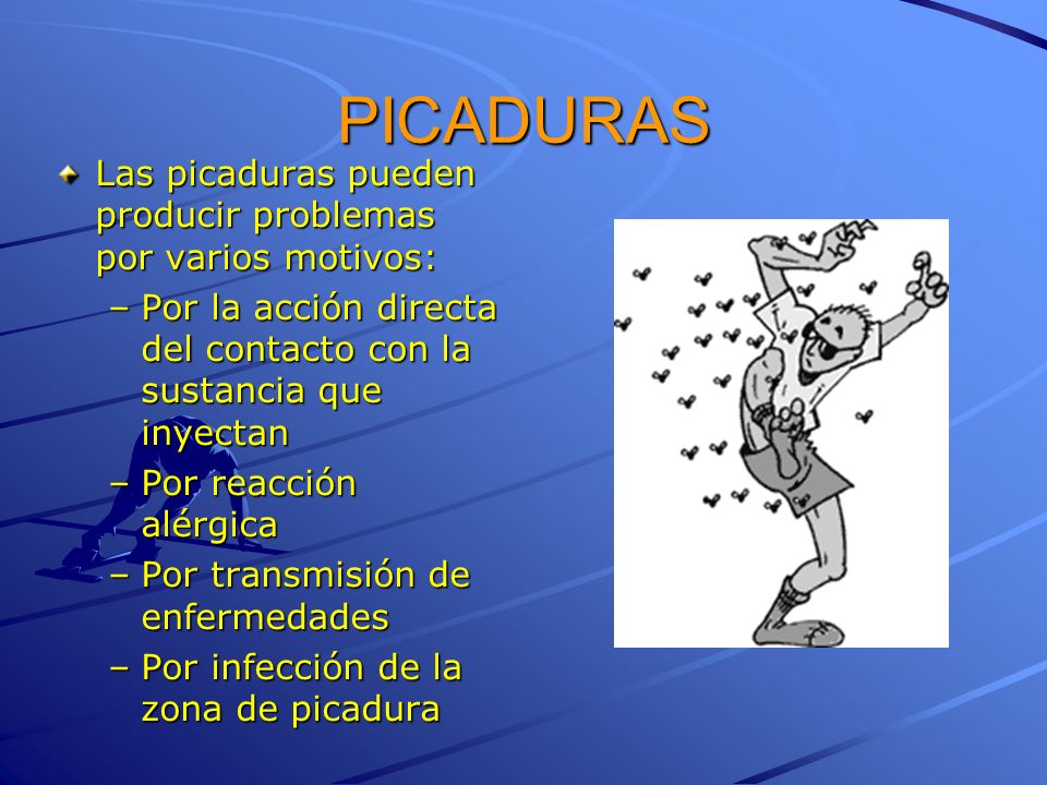 PICADURAS Las picaduras pueden producir problemas por varios motivos: