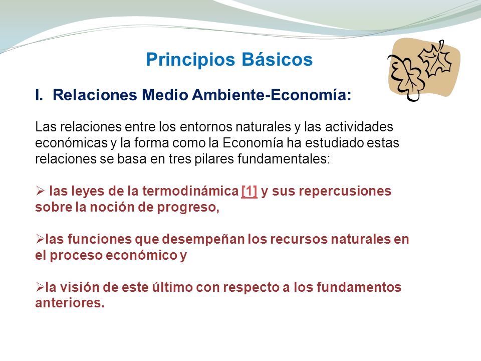 Principios Básicos I. Relaciones Medio Ambiente-Economía: