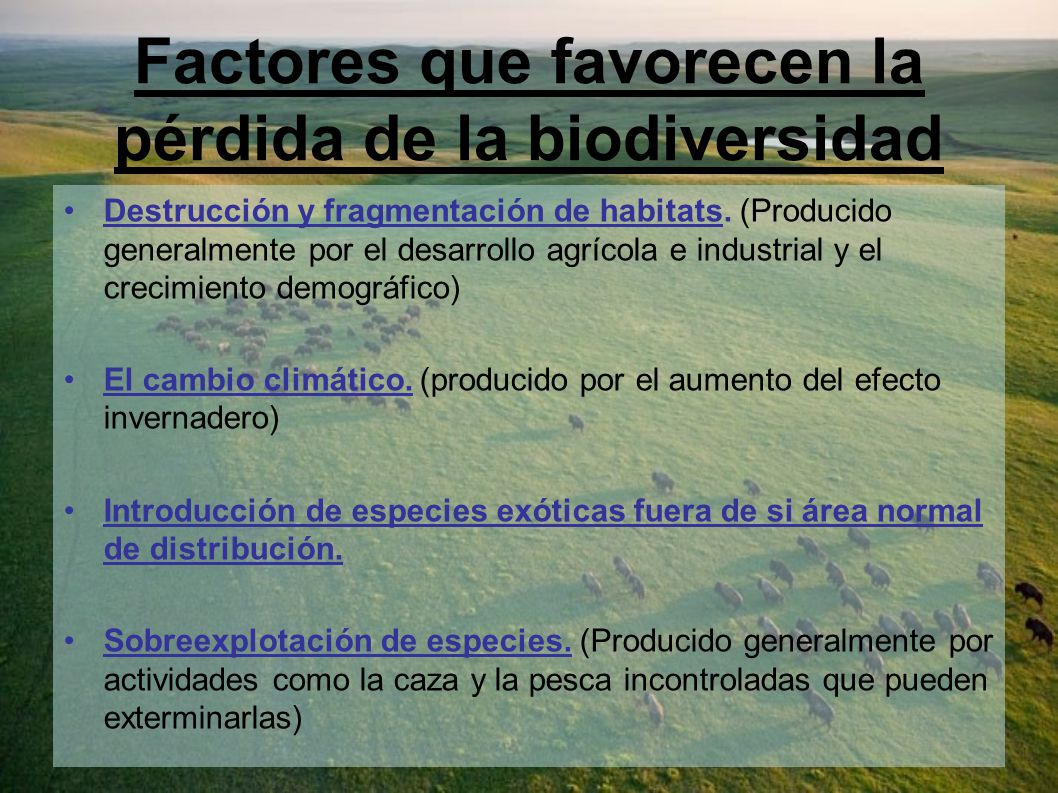 Factores que favorecen la pérdida de la biodiversidad
