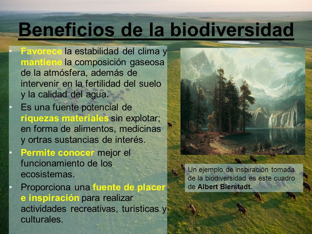 Beneficios de la biodiversidad