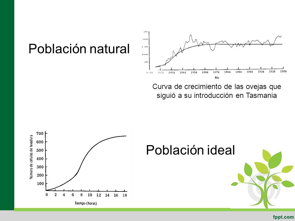 Población natural Población ideal