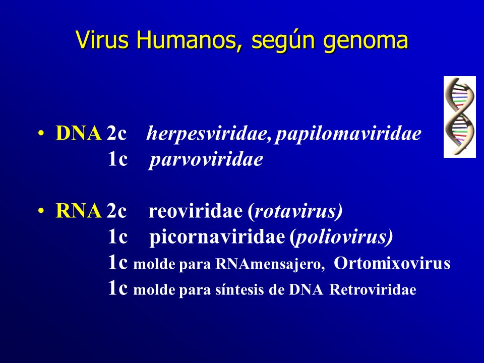 Virus Humanos, según genoma