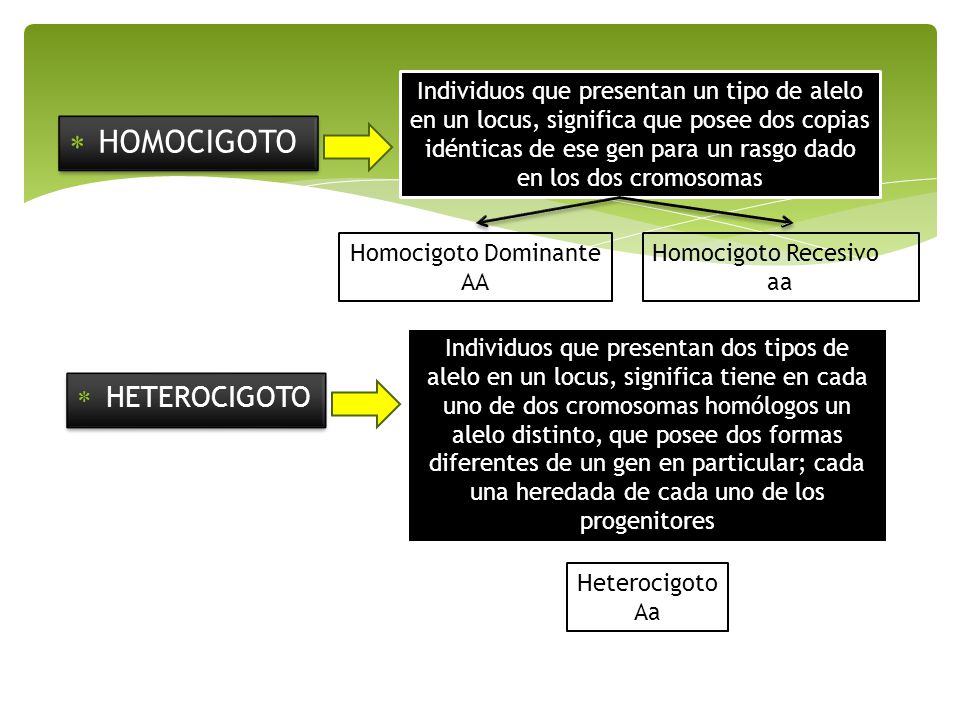 HOMOCIGOTO HETEROCIGOTO
