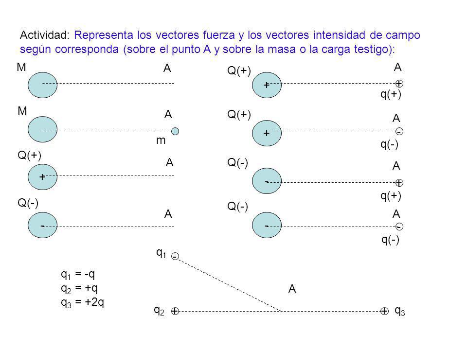 Actividad: Representa los vectores fuerza y los vectores intensidad de campo