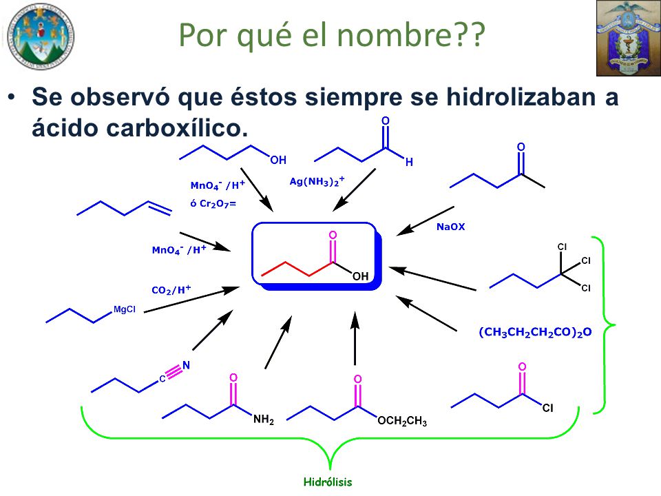 Por qué el nombre Se observó que éstos siempre se hidrolizaban a ácido carboxílico.