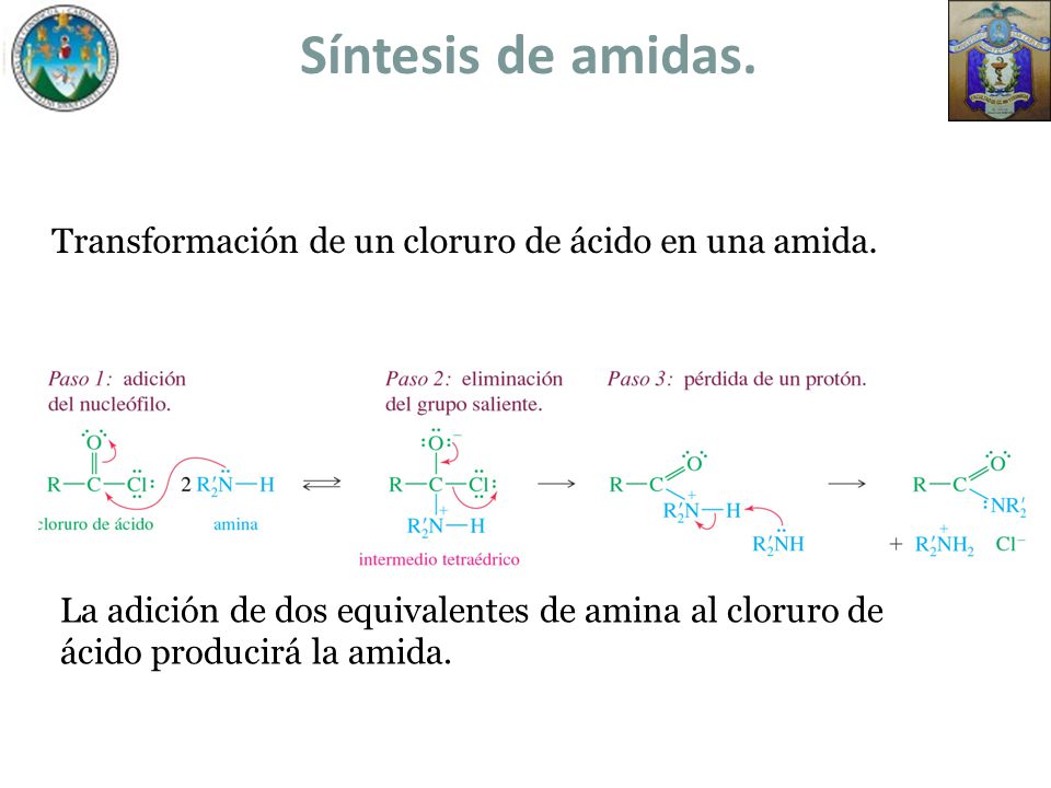 Síntesis de amidas. Transformación de un cloruro de ácido en una amida.