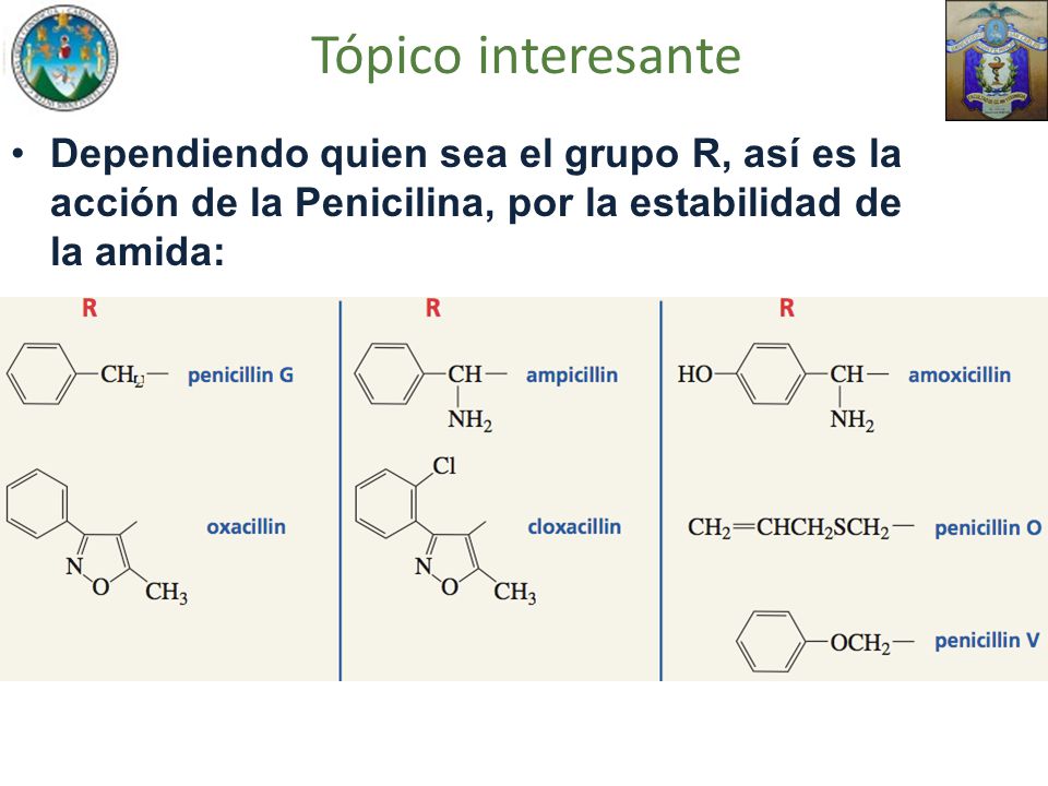 Tópico interesante Dependiendo quien sea el grupo R, así es la acción de la Penicilina, por la estabilidad de la amida: