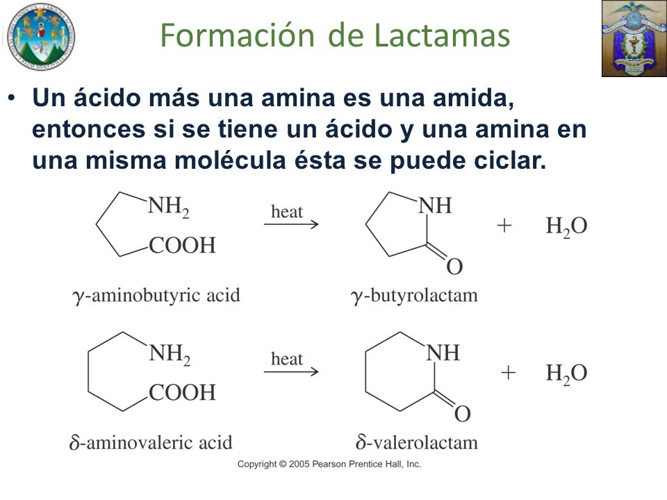 Formación de Lactamas Un ácido más una amina es una amida, entonces si se tiene un ácido y una amina en una misma molécula ésta se puede ciclar.