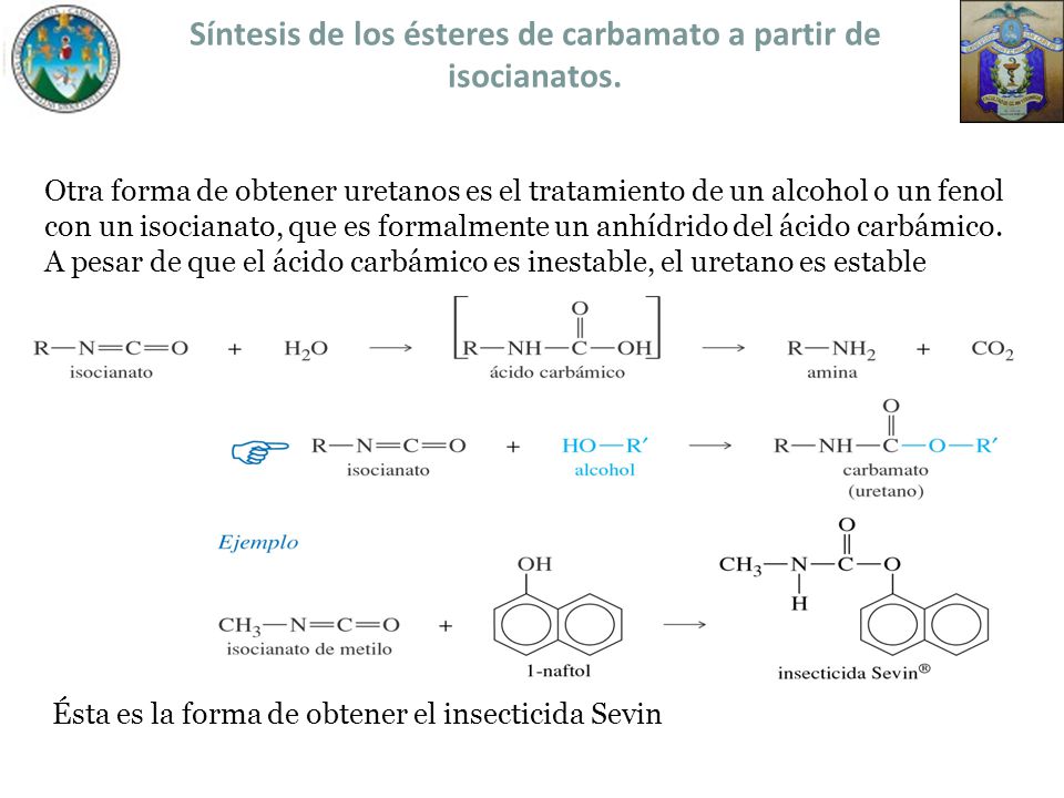 Síntesis de los ésteres de carbamato a partir de isocianatos.