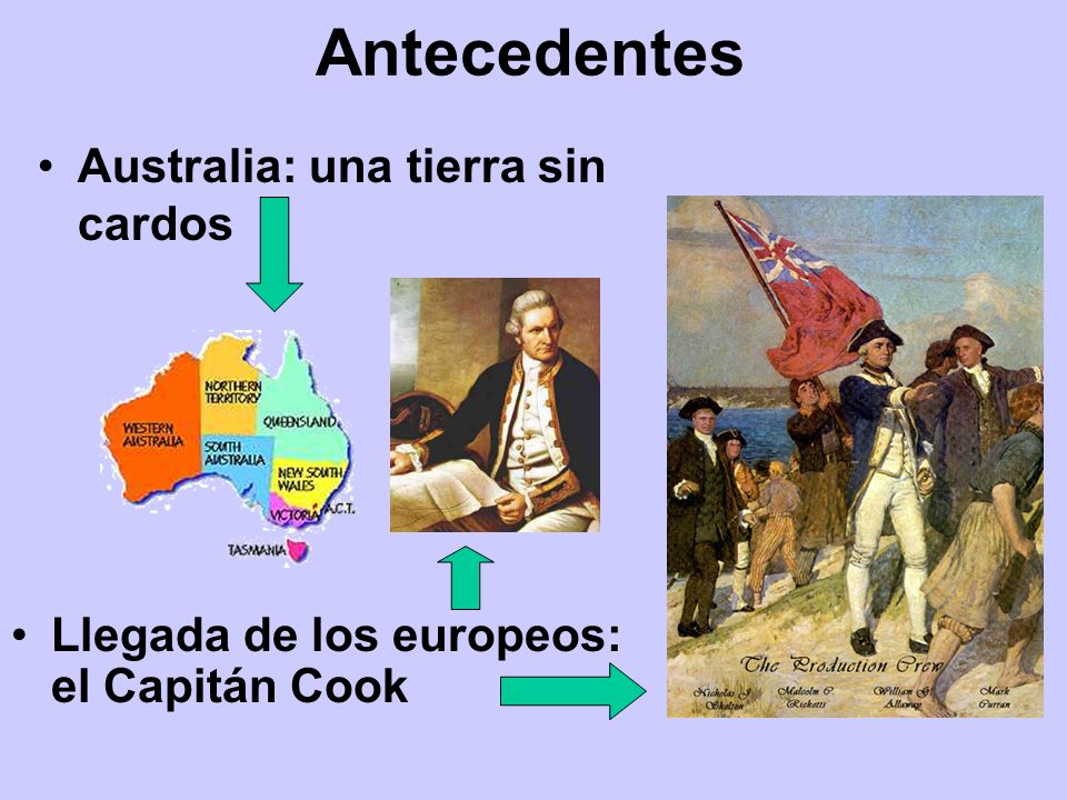 Antecedentes Australia: una tierra sin cardos