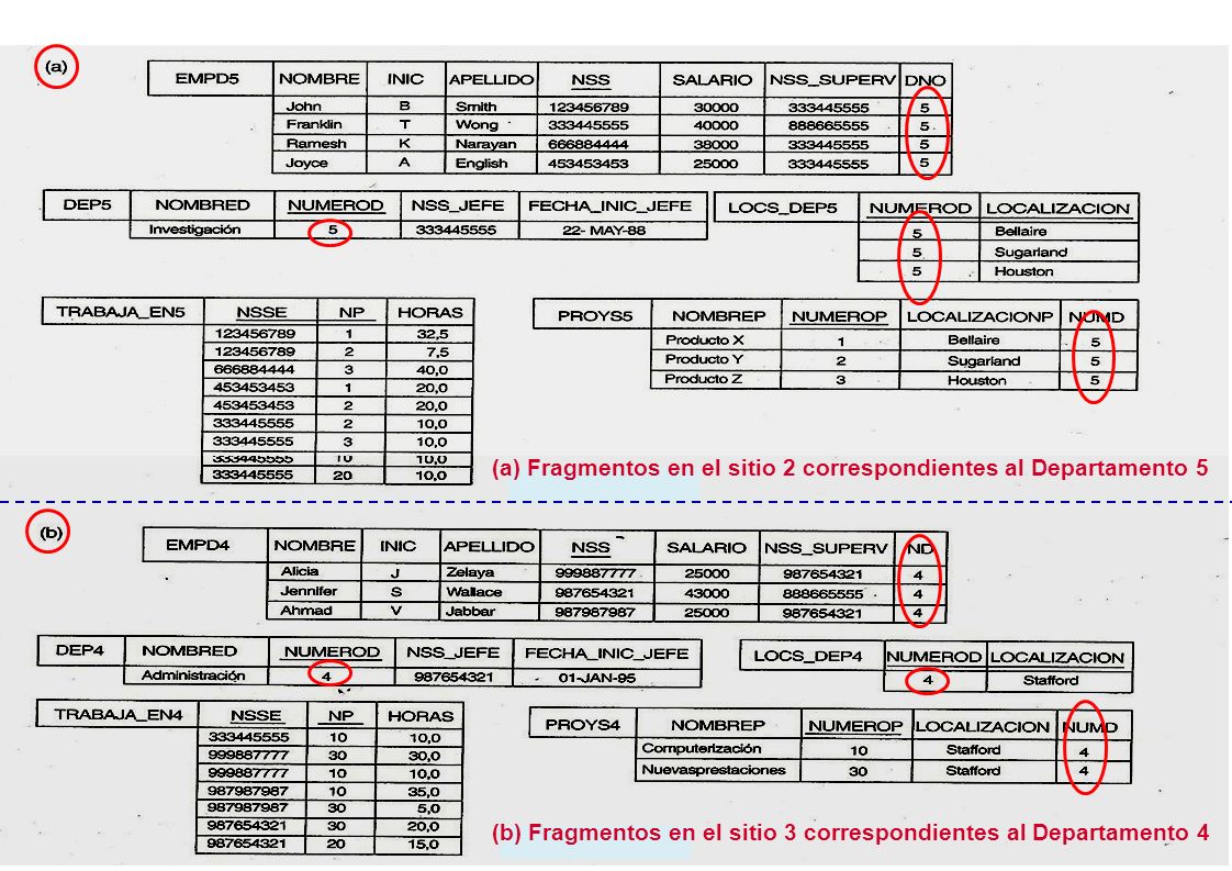 (a) Fragmentos en el sitio 2 correspondientes al Departamento 5