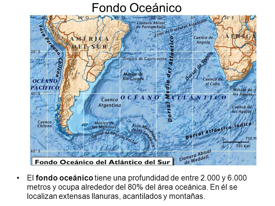 Fondo Oceánico