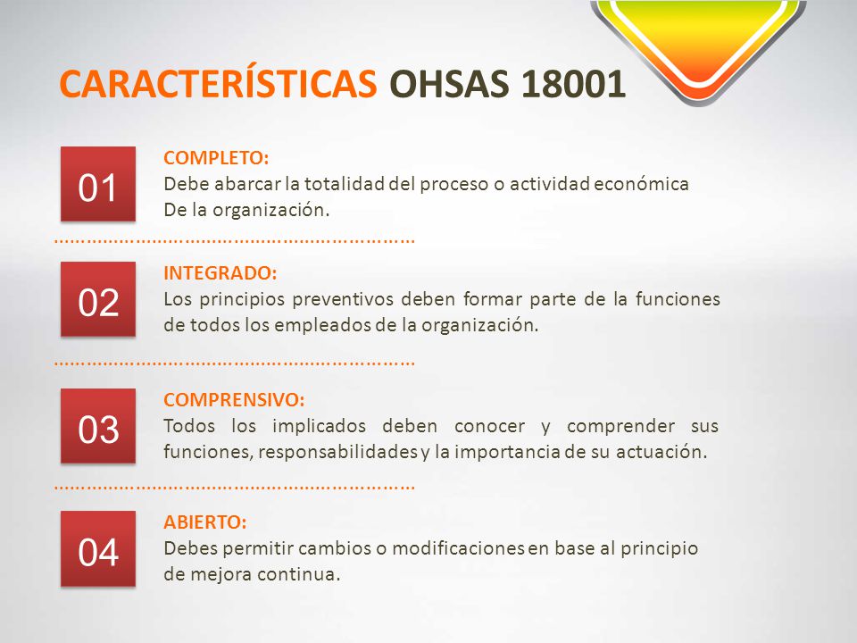 CARACTERÍSTICAS OHSAS 18001