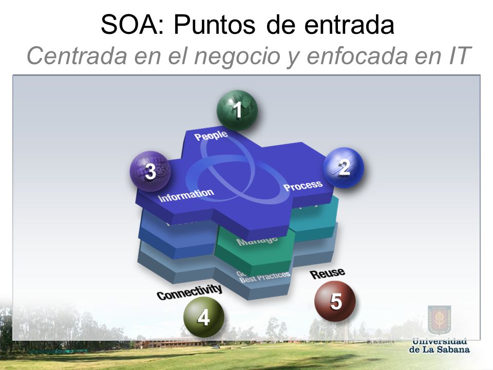 SOA: Puntos de entrada Centrada en el negocio y enfocada en IT