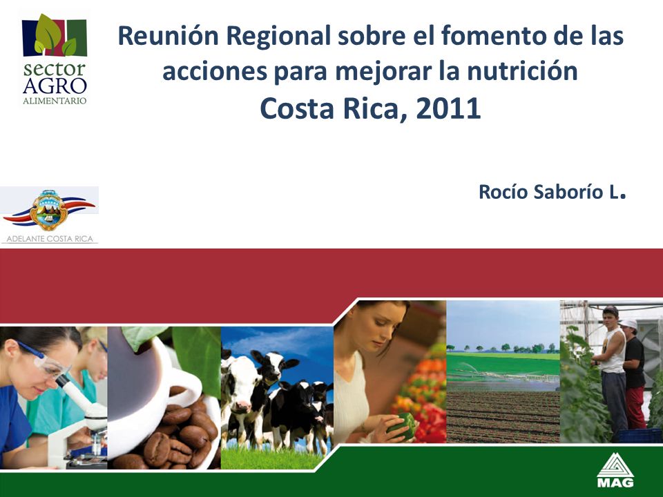 Reunión Regional sobre el fomento de las acciones para mejorar la nutrición