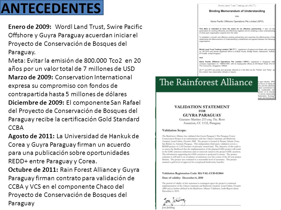 ANTECEDENTES