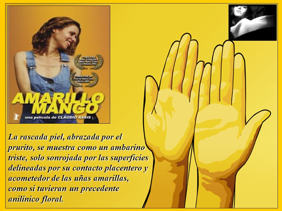 La rascada piel, abrazada por el prurito, se muestra como un ambarino triste, solo sonrojada por las superficies delineadas por su contacto placentero y acometedor de las uñas amarillas, como si tuvieran un precedente anilínico floral.