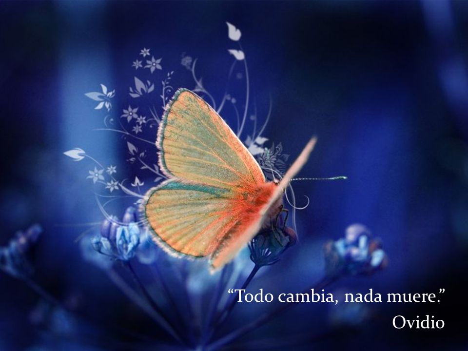 Todo cambia, nada muere.
