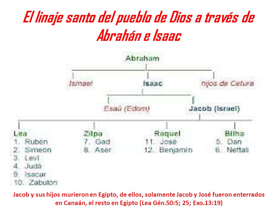El linaje santo del pueblo de Dios a través de Abrahán e Isaac