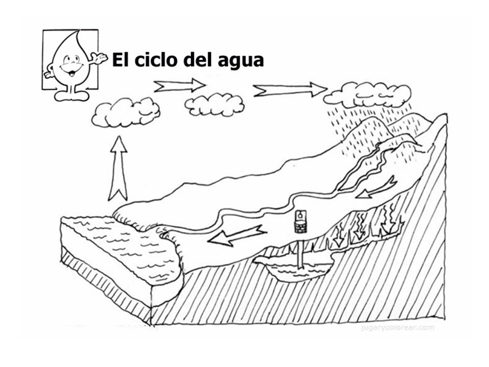 Students should be asked to draw their own version of the water cycle