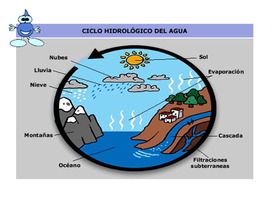 Example of simple labelling of water cycle