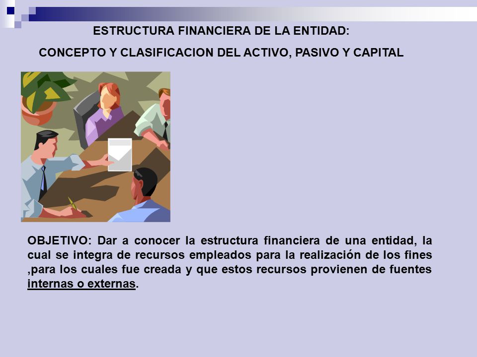 ESTRUCTURA FINANCIERA DE LA ENTIDAD:
