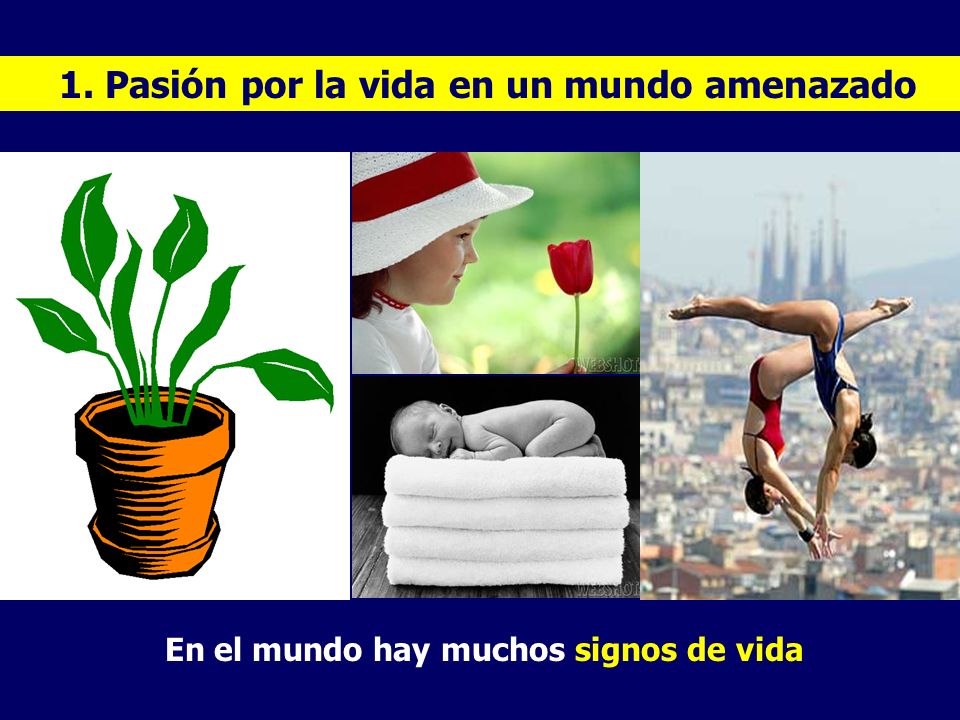 1. Pasión por la vida en un mundo amenazado