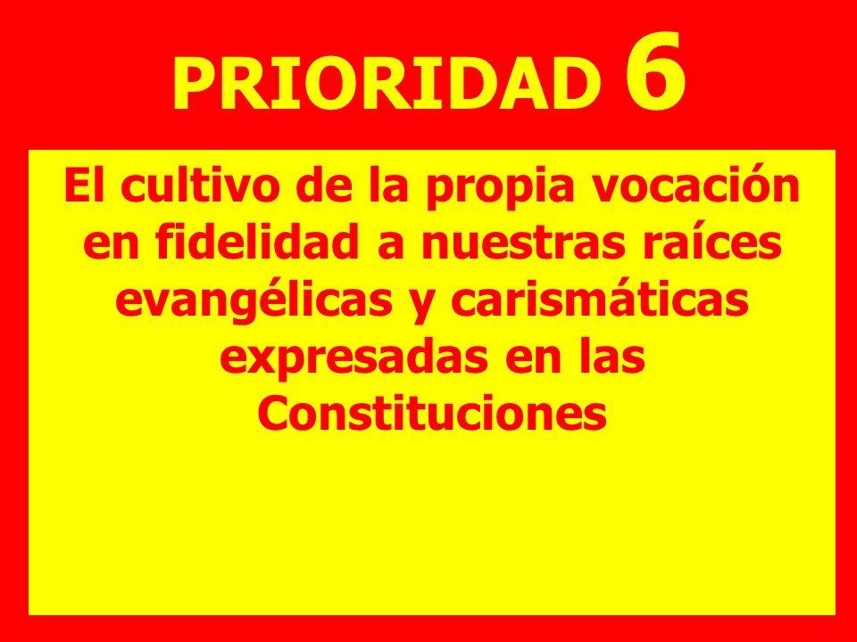 PRIORIDAD 6 El cultivo de la propia vocación en fidelidad a nuestras raíces evangélicas y carismáticas expresadas en las Constituciones.