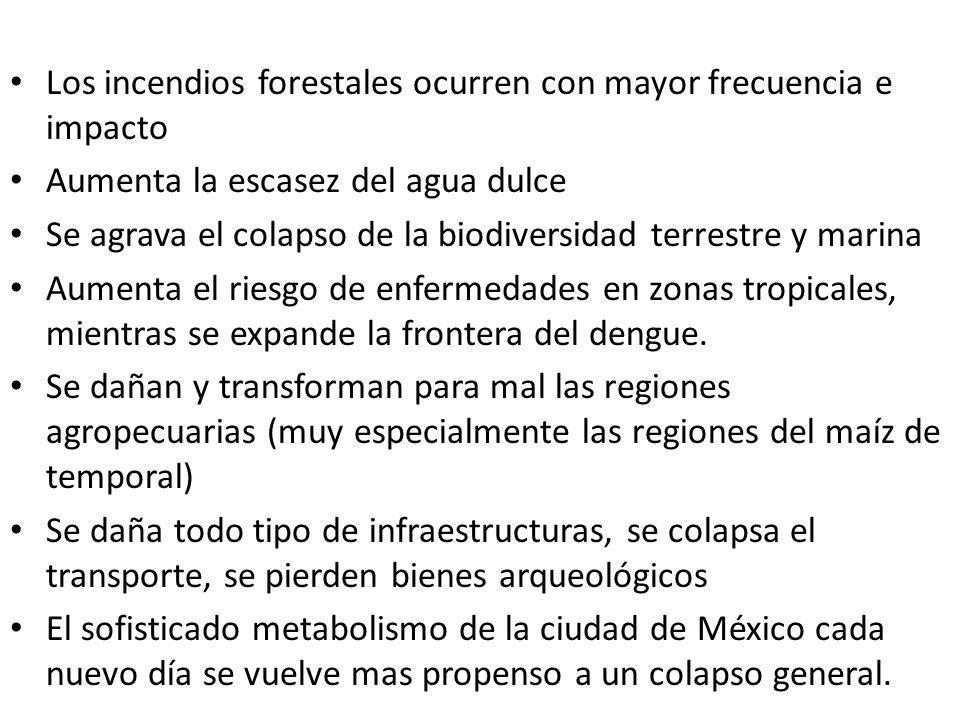 Los incendios forestales ocurren con mayor frecuencia e impacto
