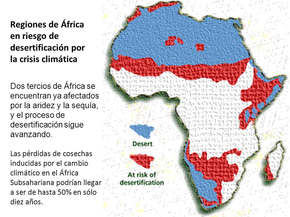 Regiones de África en riesgo de desertificación por la crisis climática