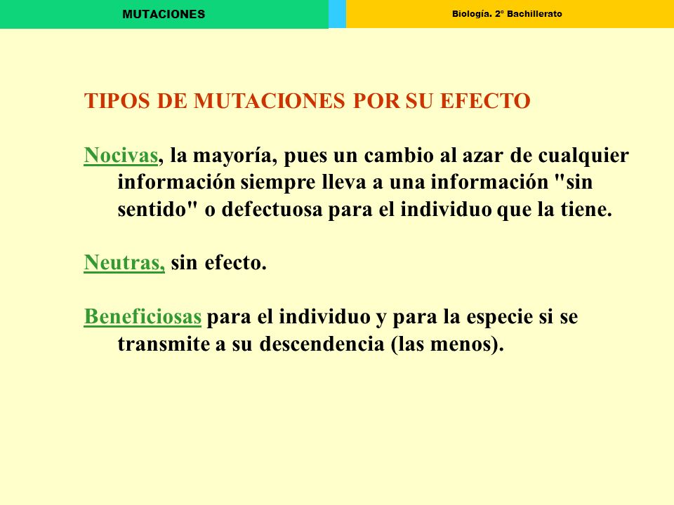 TIPOS DE MUTACIONES POR SU EFECTO