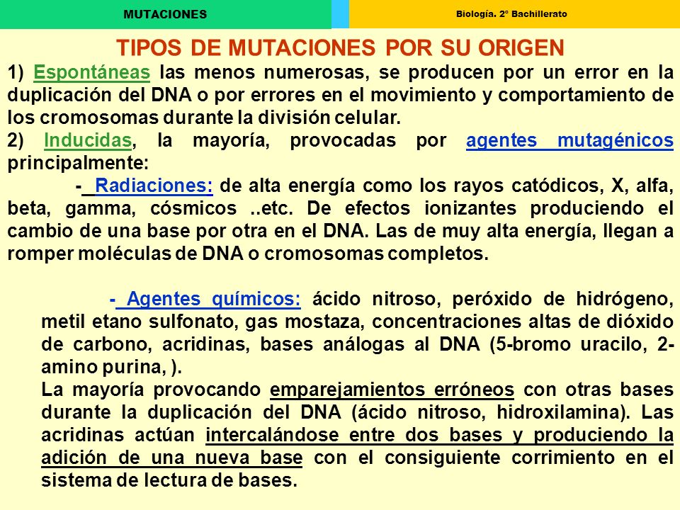 TIPOS DE MUTACIONES POR SU ORIGEN