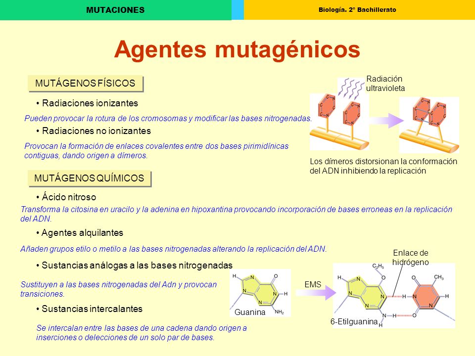 Agentes mutagénicos MUTÁGENOS FÍSICOS Radiaciones ionizantes