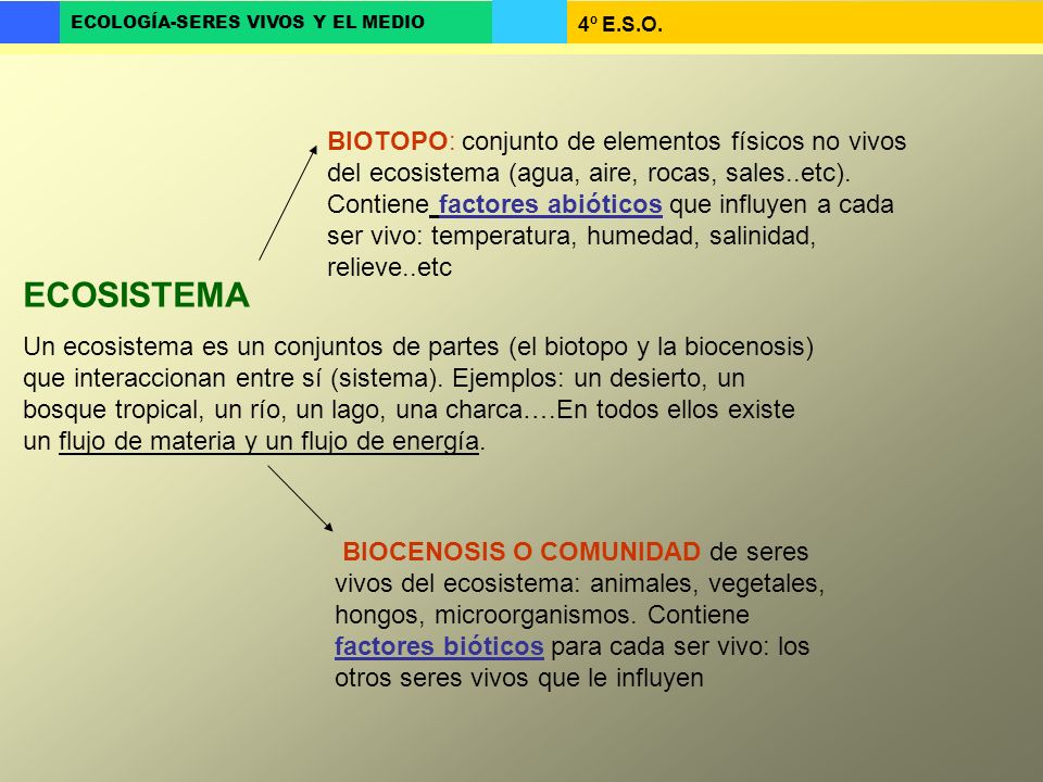 BIOTOPO: conjunto de elementos físicos no vivos del ecosistema (agua, aire, rocas, sales..etc). Contiene factores abióticos que influyen a cada ser vivo: temperatura, humedad, salinidad, relieve..etc