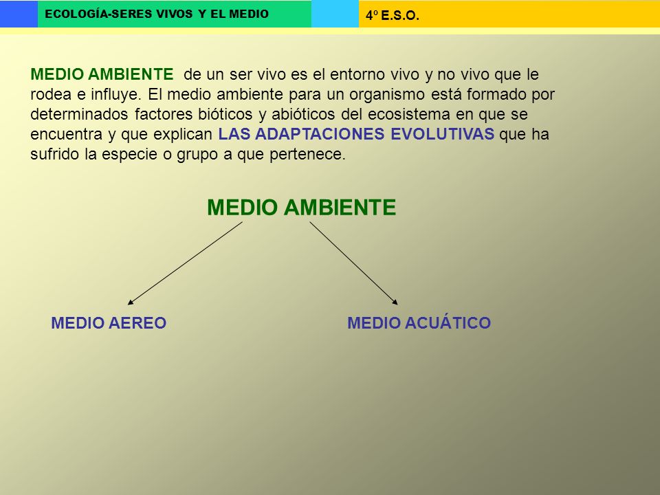 MEDIO AMBIENTE de un ser vivo es el entorno vivo y no vivo que le rodea e influye. El medio ambiente para un organismo está formado por determinados factores bióticos y abióticos del ecosistema en que se encuentra y que explican LAS ADAPTACIONES EVOLUTIVAS que ha sufrido la especie o grupo a que pertenece.