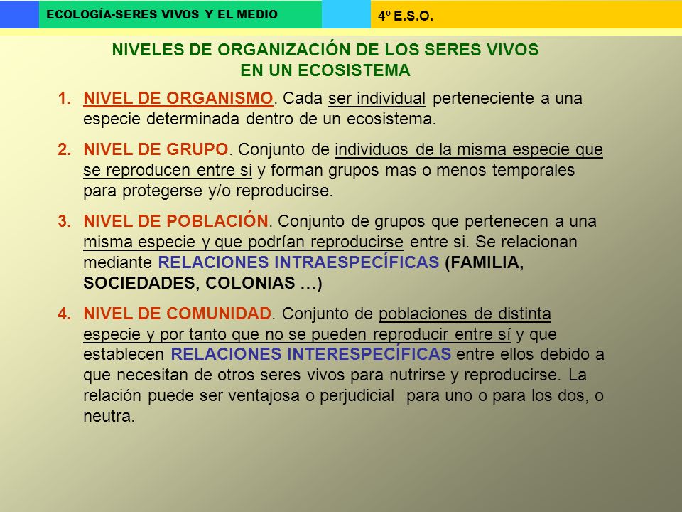NIVELES DE ORGANIZACIÓN DE LOS SERES VIVOS EN UN ECOSISTEMA