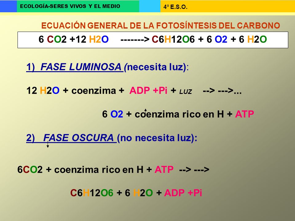 6 CO2 +12 H2O > C6H12O6 + 6 O2 + 6 H2O