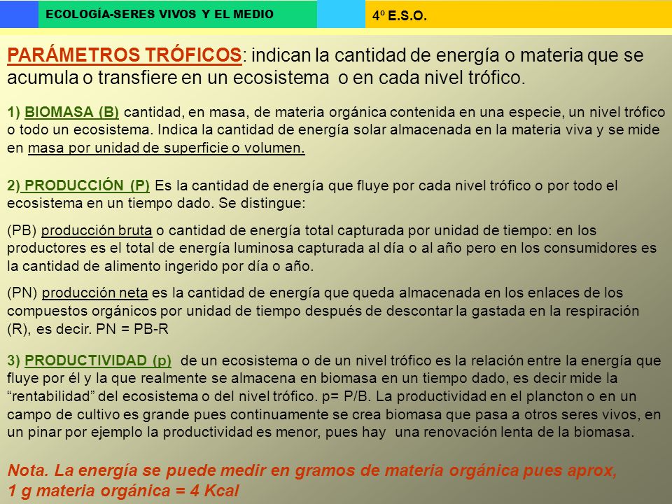PARÁMETROS TRÓFICOS: indican la cantidad de energía o materia que se acumula o transfiere en un ecosistema o en cada nivel trófico.