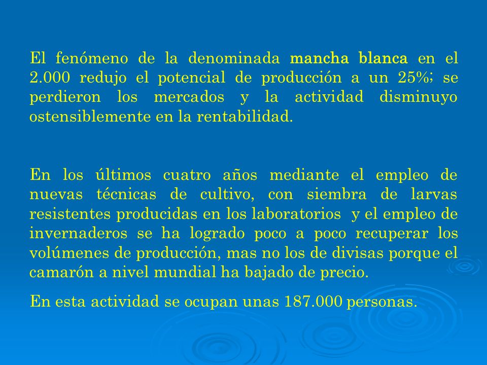 El fenómeno de la denominada mancha blanca en el 2