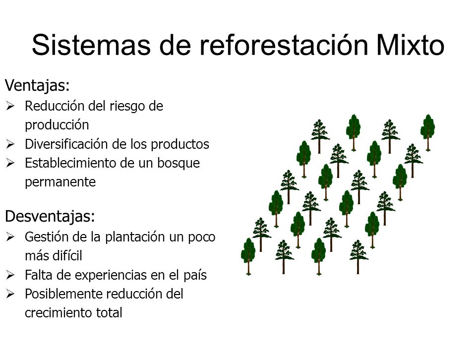 Sistemas de reforestación Mixto
