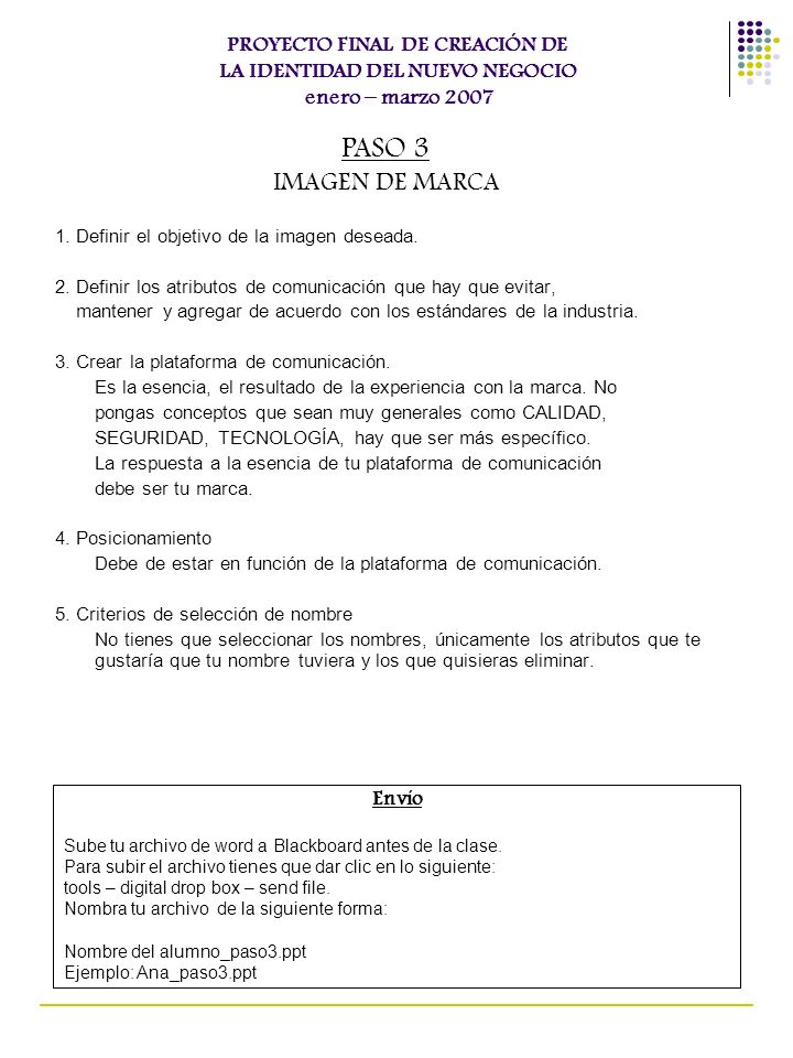PROYECTO FINAL DE CREACIÓN DE LA IDENTIDAD DEL NUEVO NEGOCIO enero – marzo 2007