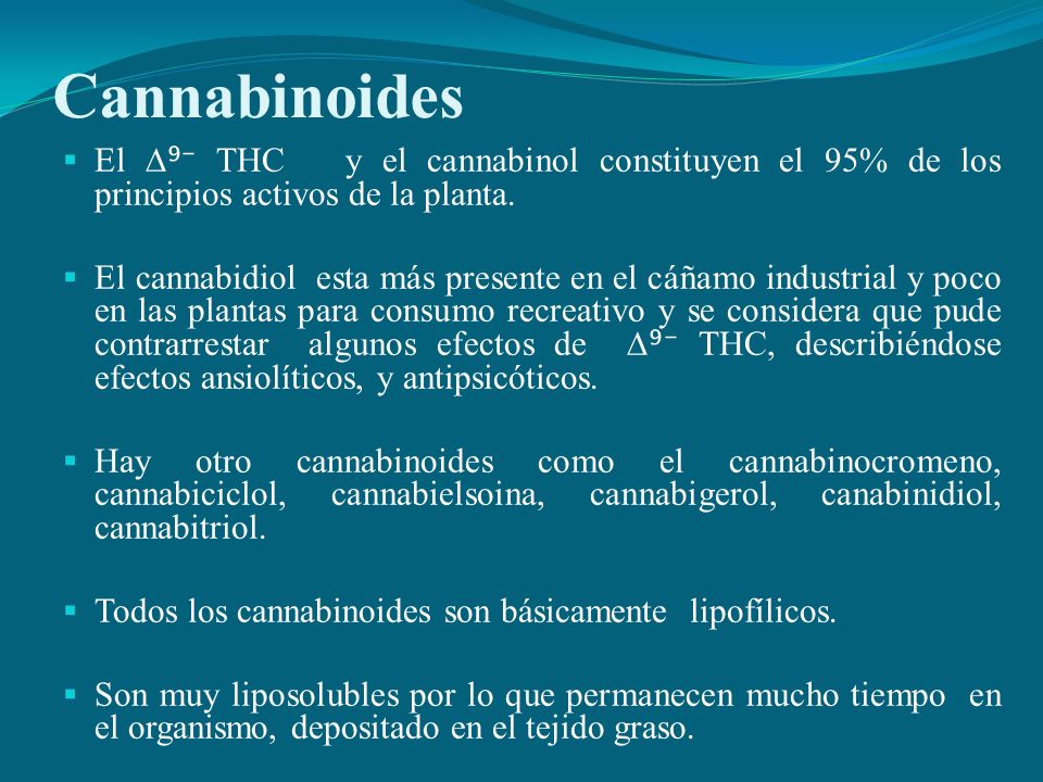 Cannabinoides El ∆⁹⁻ THC y el cannabinol constituyen el 95% de los principios activos de la planta.