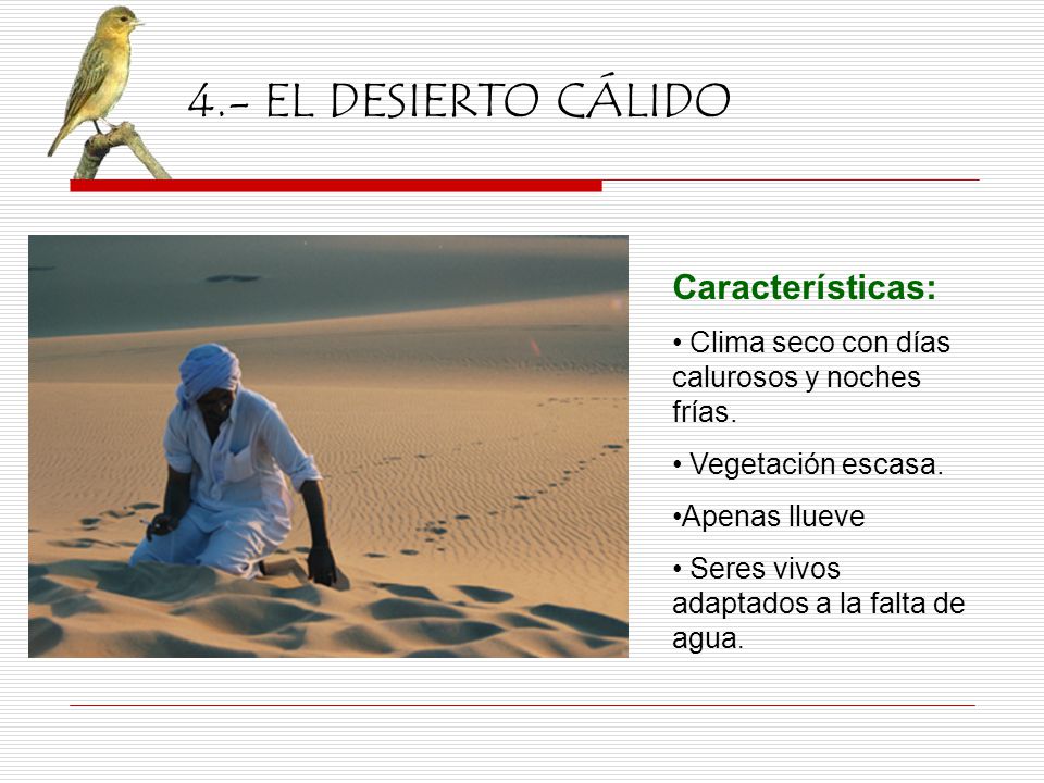 4.- EL DESIERTO CÁLIDO Características: