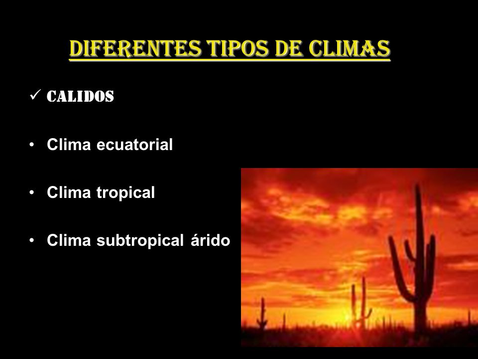 Diferentes tipos de climas