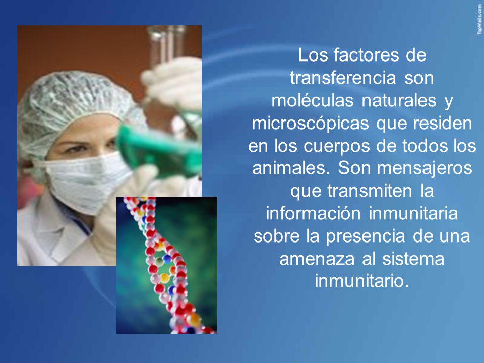 Los factores de transferencia son moléculas naturales y microscópicas que residen en los cuerpos de todos los animales.