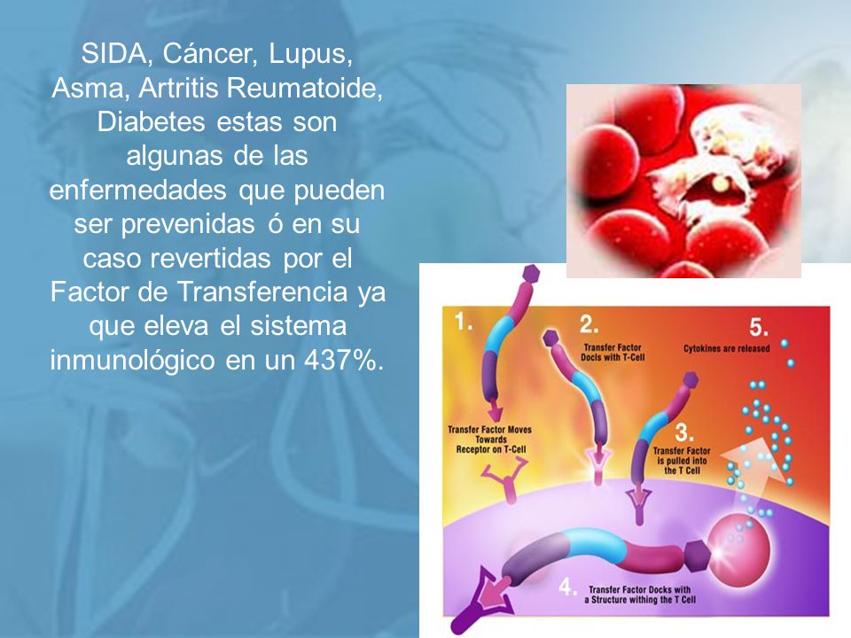 SIDA, Cáncer, Lupus, Asma, Artritis Reumatoide, Diabetes estas son algunas de las enfermedades que pueden ser prevenidas ó en su caso revertidas por el Factor de Transferencia ya que eleva el sistema inmunológico en un 437%.