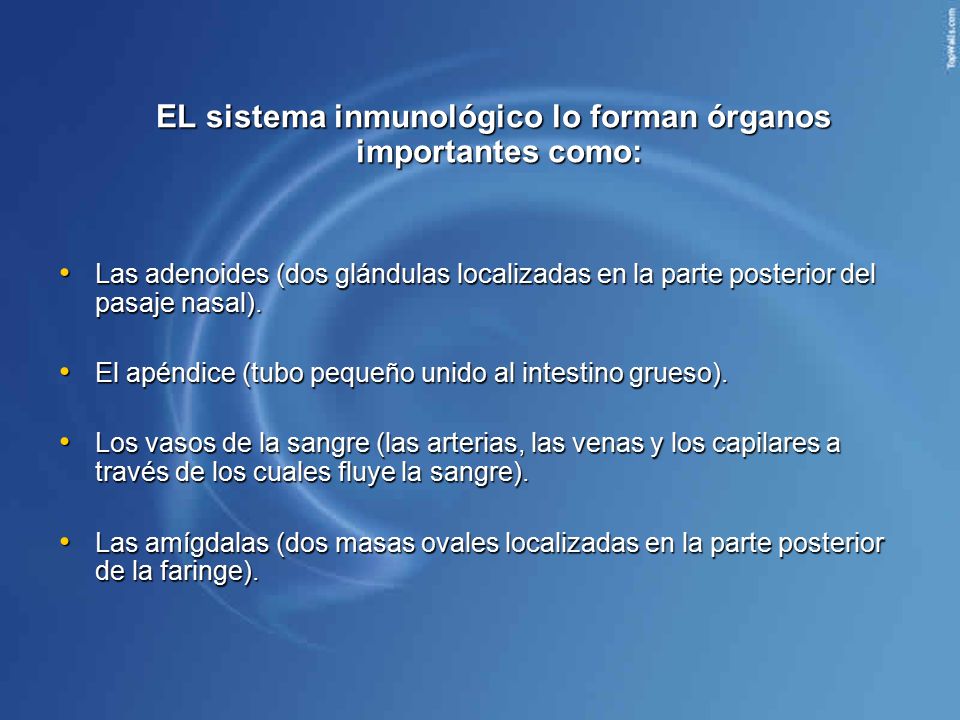 EL sistema inmunológico lo forman órganos importantes como: