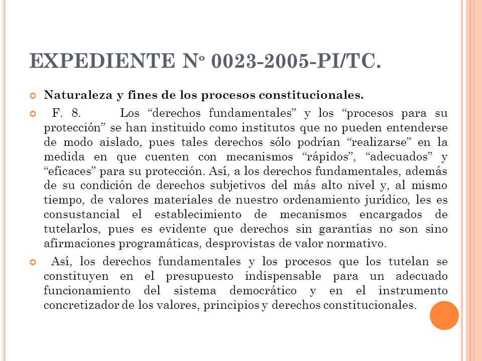 EXPEDIENTE Nº PI/TC. Naturaleza y fines de los procesos constitucionales.