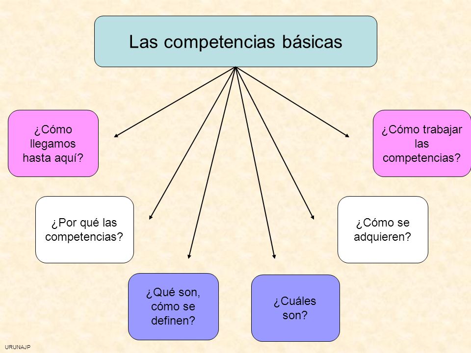 Las competencias básicas