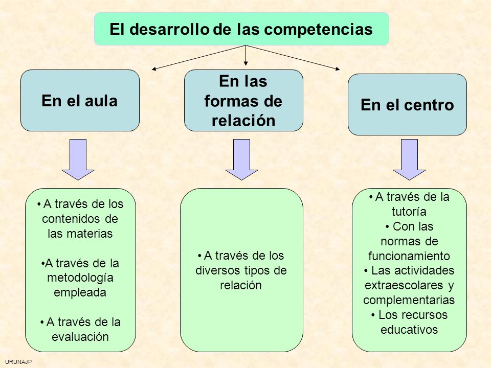 El desarrollo de las competencias En las formas de relación